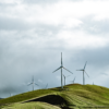 Ecologie van windturbines